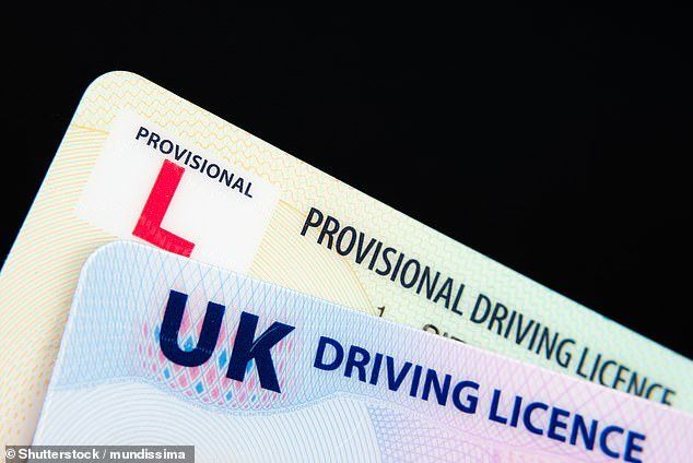 Everything You Need to Know About UK Driver’s Licence Checks